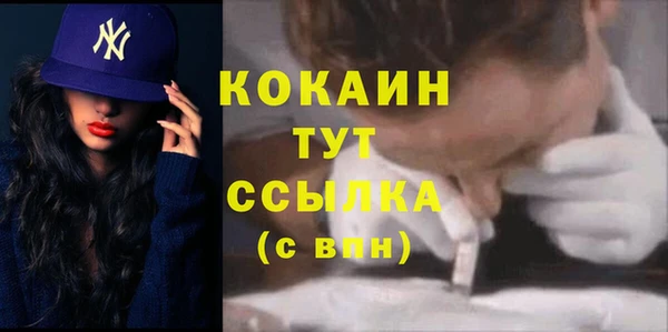 хмурый Арсеньев