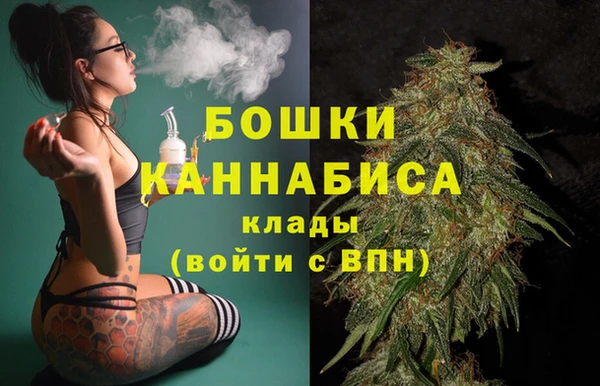 хмурый Арсеньев