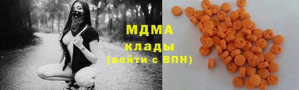 хмурый Арсеньев