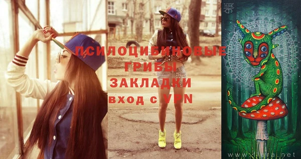 хмурый Арсеньев