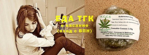 хмурый Арсеньев