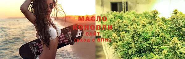 хмурый Арсеньев